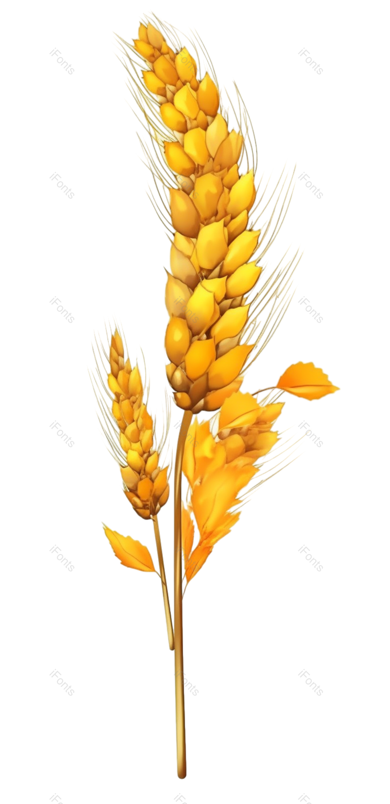 芒种图片,麦子元素,丰收PNG,麦田免抠素材